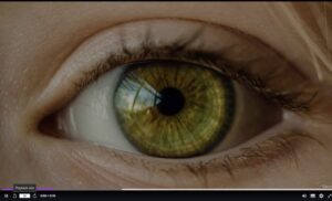 A close up of an eye to explain contrasting color